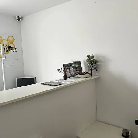 Erletxe Aterpea Лесо