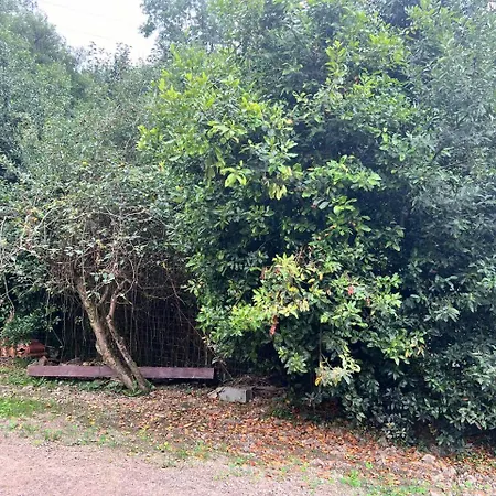 Erletxe Aterpea Hostel *