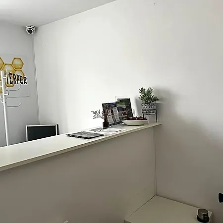 Erletxe Aterpea Lezo